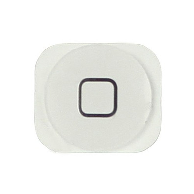 Reparación botón Home iPhone 5 Blanco