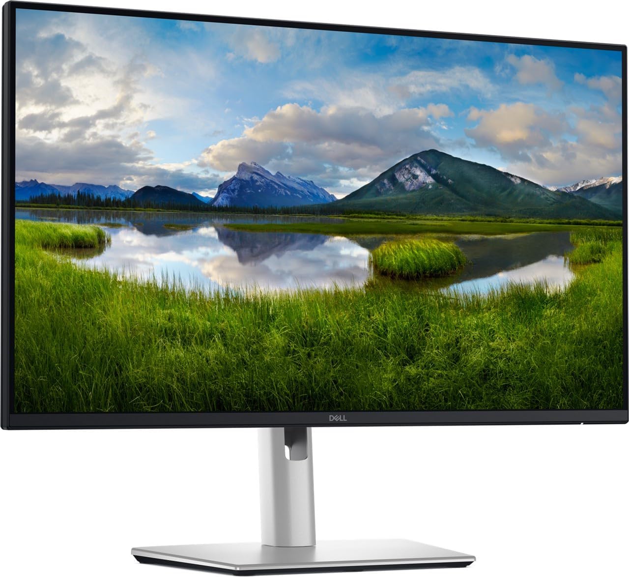 Monitor Dell Pro Plus P2425DE 23,8