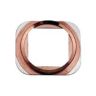 Repuesto Espaciador Metálico Botón Home iPhone 6S / 6S Plus Oro Rosa 